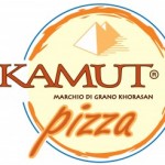 2011-kamut-pizza-logoit-300x246